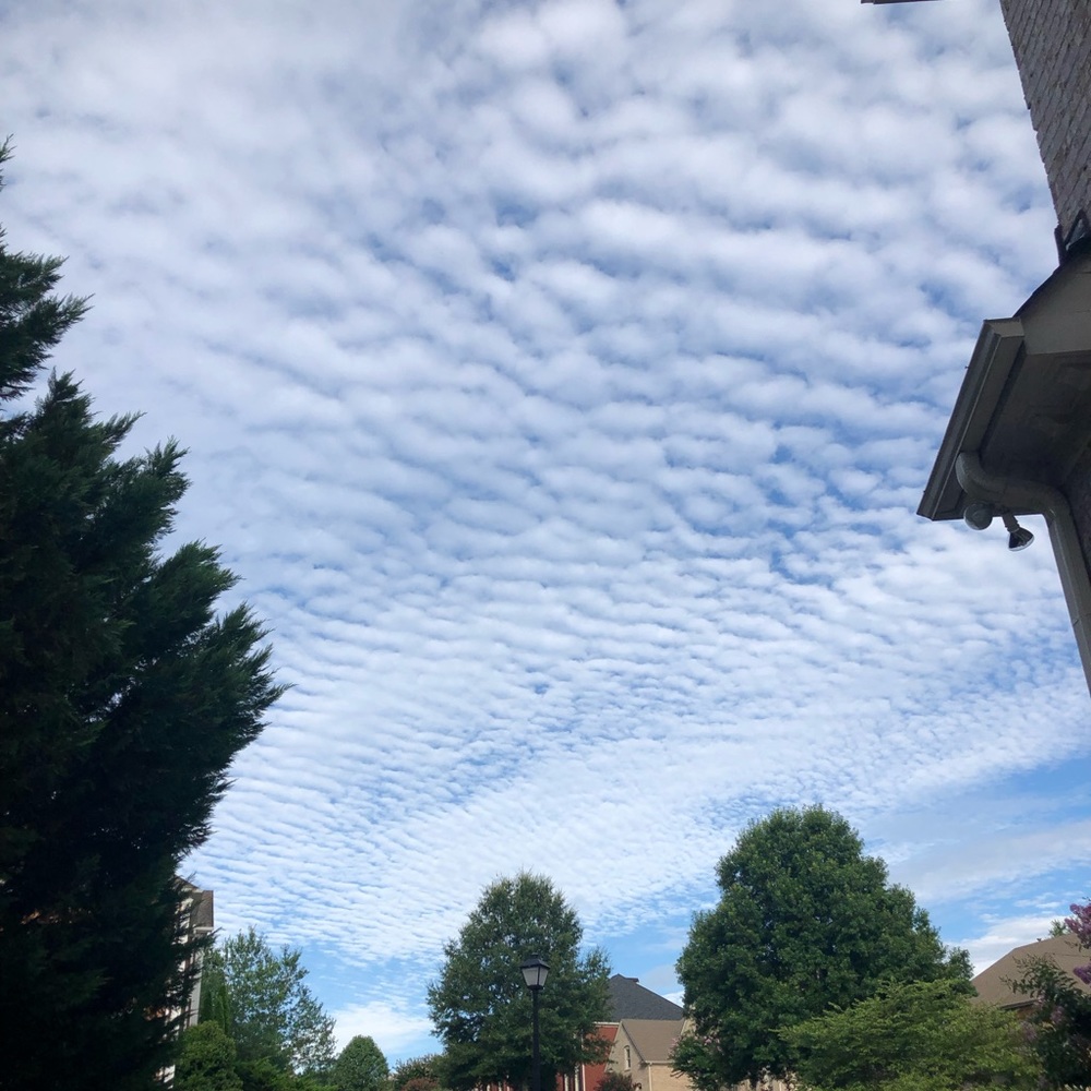 Meet your Posher, Keyana